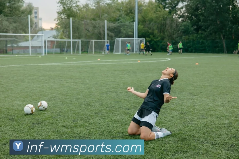 完美体育官网APP 封面图